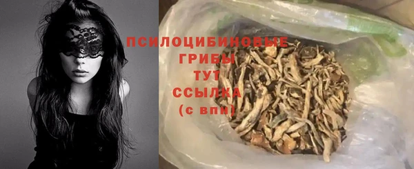 герыч Алексин