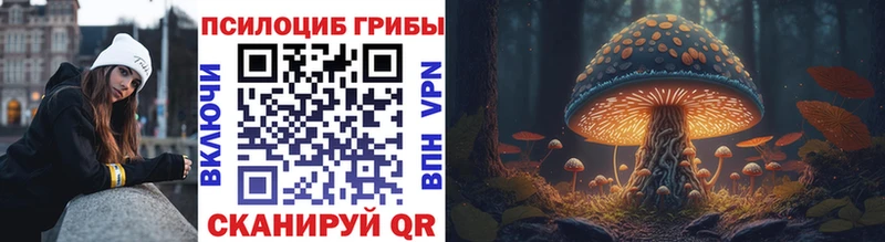 купить  цена  KRAKEN ONION  Псилоцибиновые грибы Psilocybe  Грайворон 